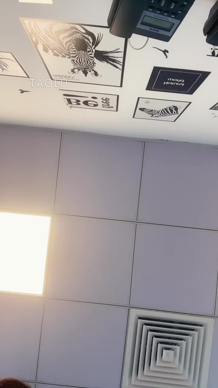 Spirit精灵粤语广州 ——日常直播
