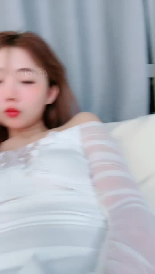 一茶 ——早泄狗训练红绿灯【最新视频】